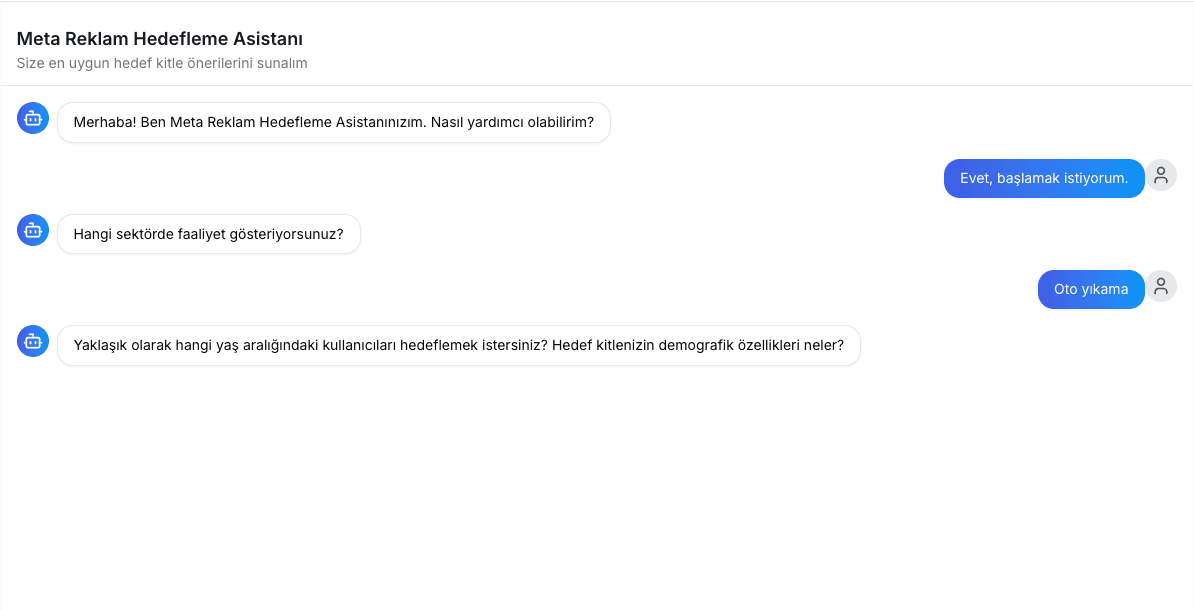 Meta Reklam Hedefleme Asistanı